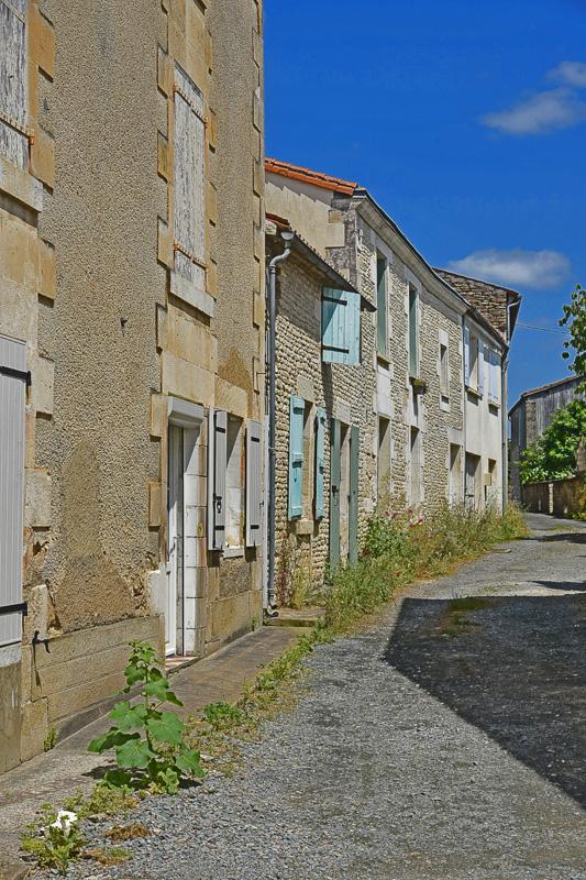 min 2025 06 08 Marais Poitevin 175